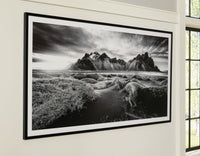 Delstone - Wall Art - Black / White