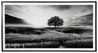 Deborland - Wall Art - Black / White