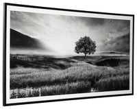 Deborland - Wall Art - Black / White