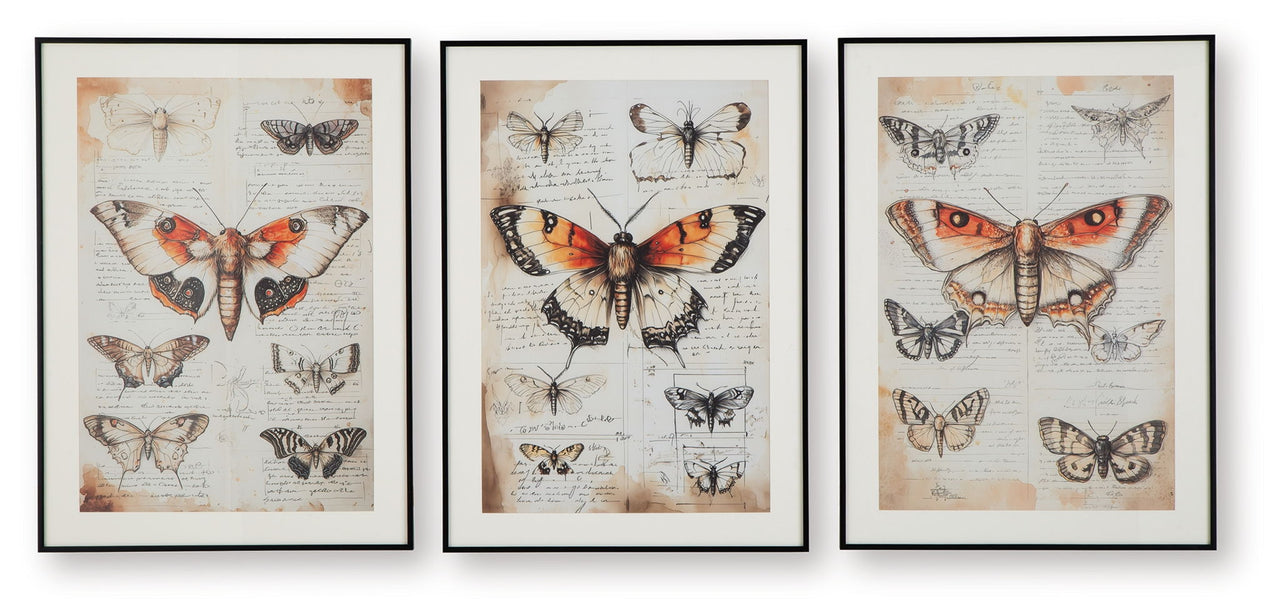 Jossletts - Wall Art Set (Set of 3) - Orange / Black / Ivory