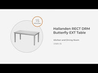 Hallanden - Rectangular Dining Room Butterfly Extension Table - Gray